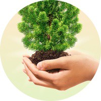 Дари добро: посади дерево вместе с Goodline