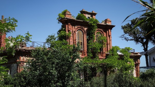 Король Принцевых островов