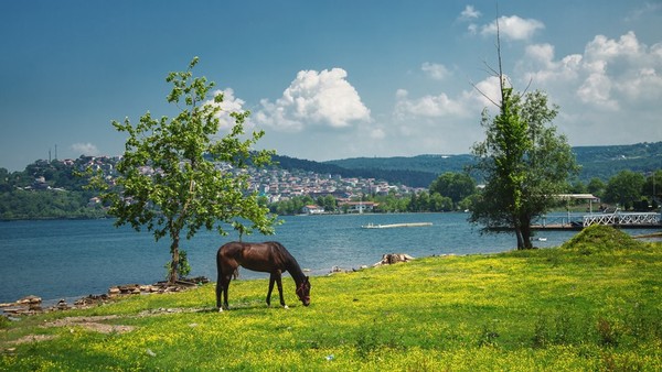 Из Стамбула — на озеро Сапанджа!