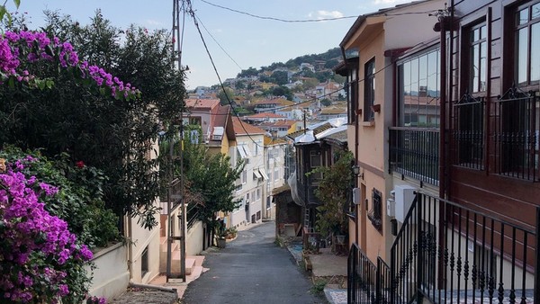 Самый зеленый из Принцевых островов — круглый год