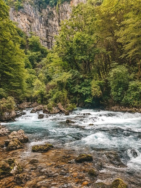 Экотур по Абхазии: этнопарк, форель и ущелье