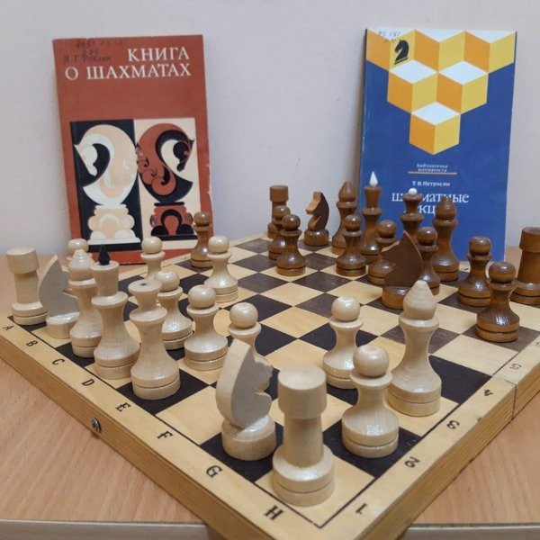 Кружок «Шахматный лабиринт»