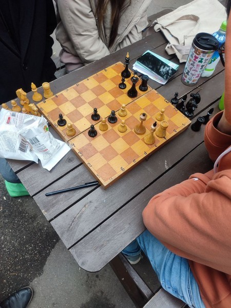 Играем в шахматы в парке им. 1 мая