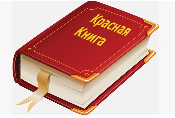 Познавательная программа «Путешествие по страницам Красной книги»