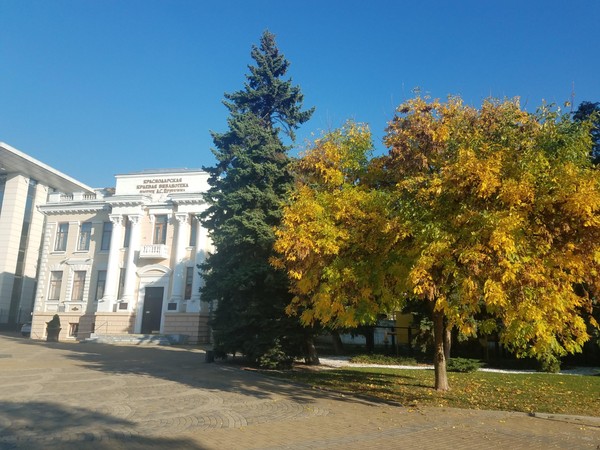 Экскурсия «Открывая сокровища библиотеки»