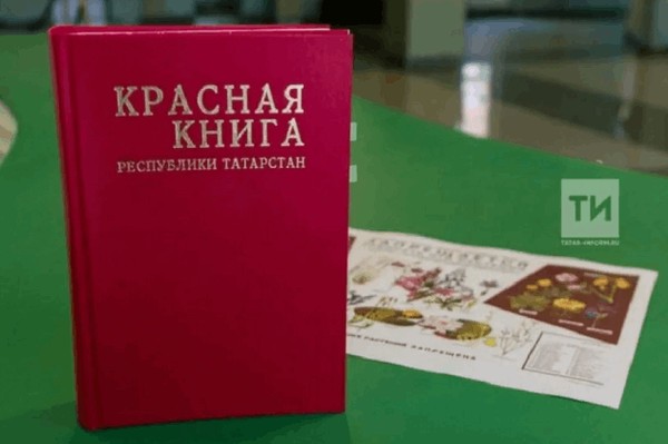 Брейн-ринг «По страницам Красной книги»