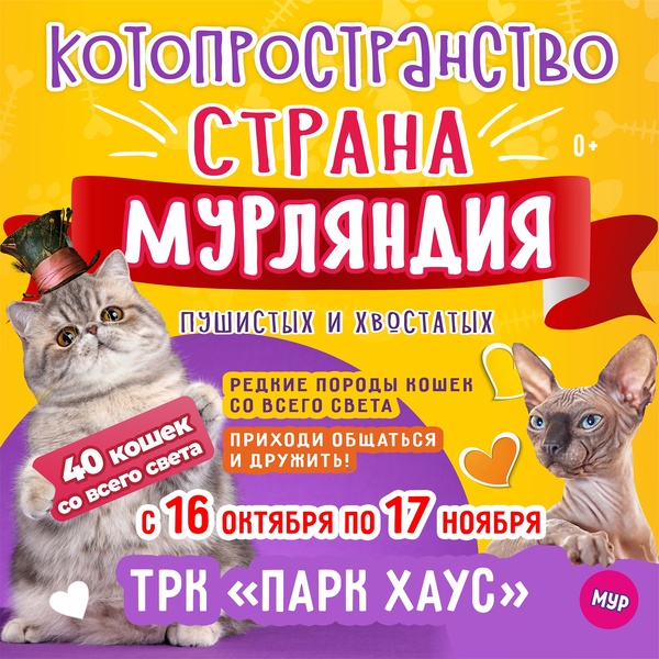 выставка кошек "Страна Мурляндия"