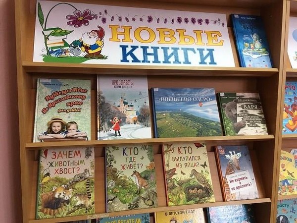 Книжная выставка «Здравствуй, новая книга!»