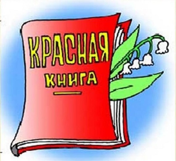 Познавательный час «Открывая Красную книгу»