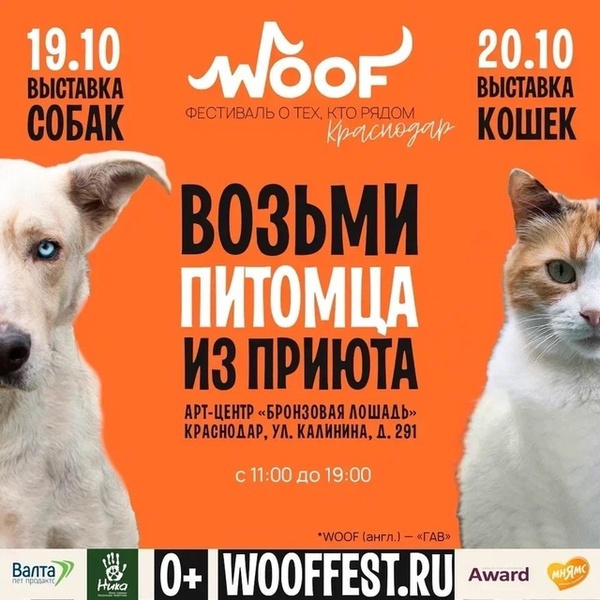 WOOF FEST