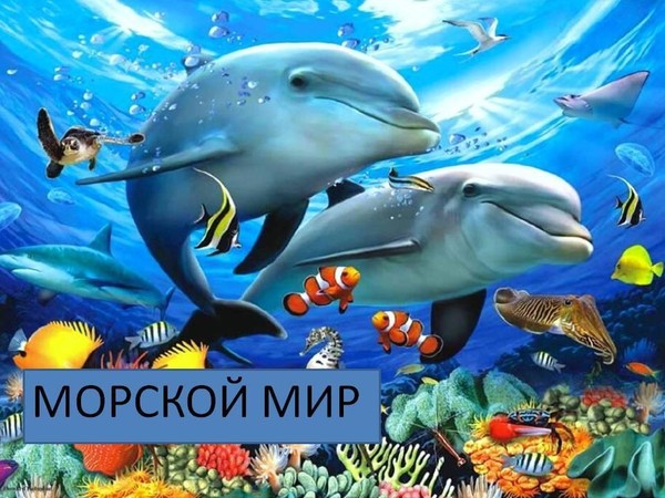 Выставка-прогулка «Морской мир»