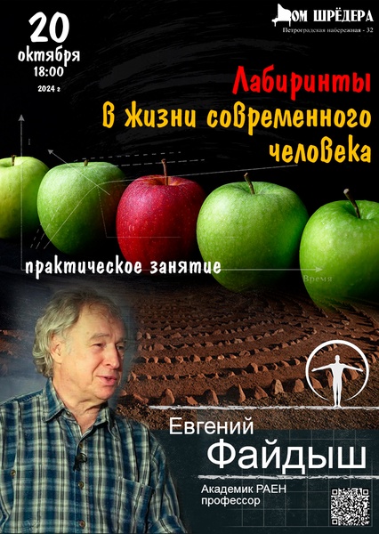 «Лабиринты в жизни современного человека» практическое занятие академик РАЕН, профессор Евгений Файд