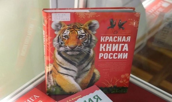 Экологическое путешествие «Красная книга и ее обитатели»