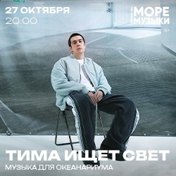 Тима ищет свет