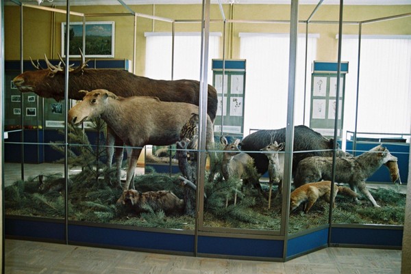 Музейный урок «Лесов таинственная сень...»