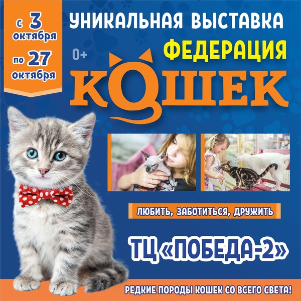 выставка кошек Федерация Кошек