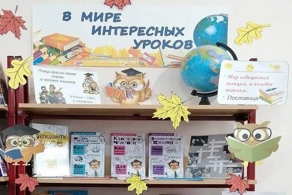 Книжная выставка «В мире интересных уроков»