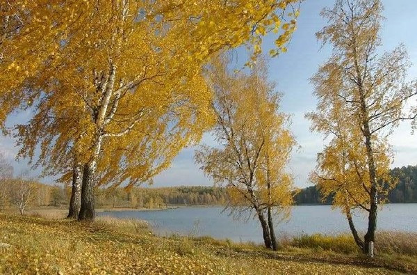 Программа «Секреты Астафьева дня»