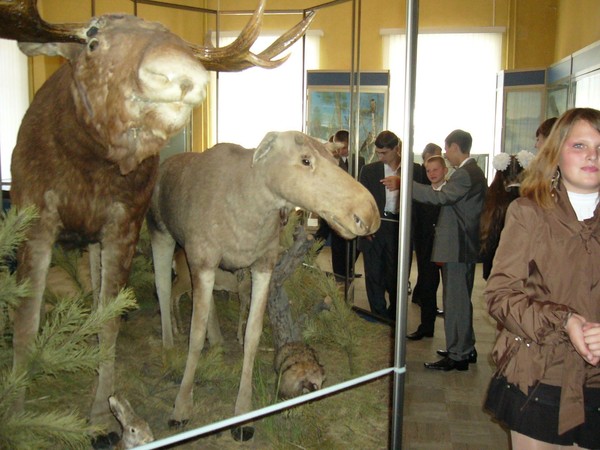 Музейный урок «Тайна осенней полянки»