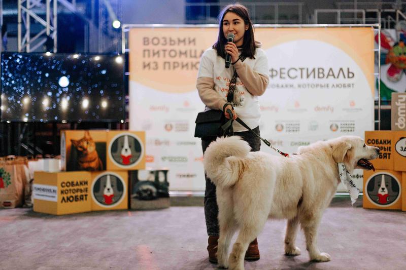 Фестиваль "Собаки, которые любят... и котики!" в Москве 10 ноября 10 ноября 2024 г.