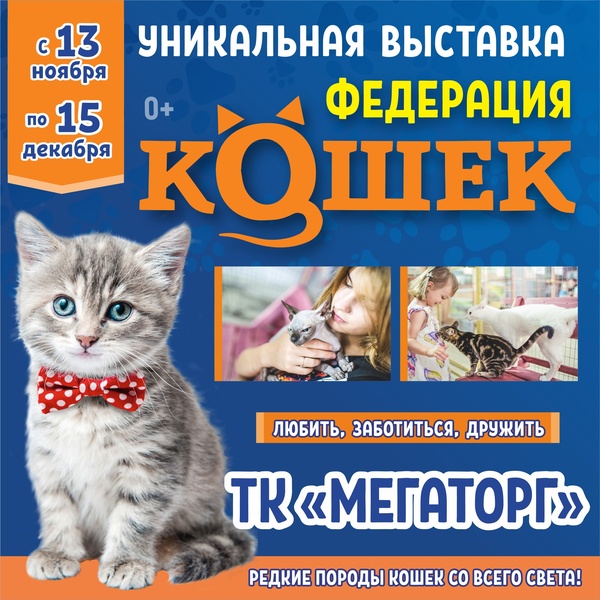 выставка кошек Федерация Кошек"