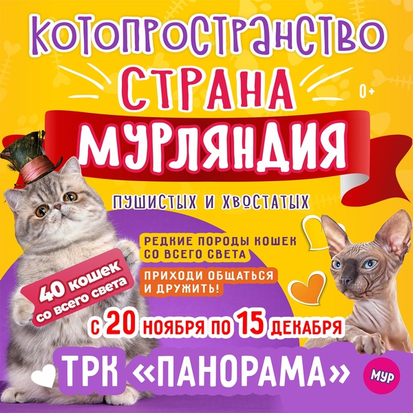 выставка кошек Страна Мурляндия