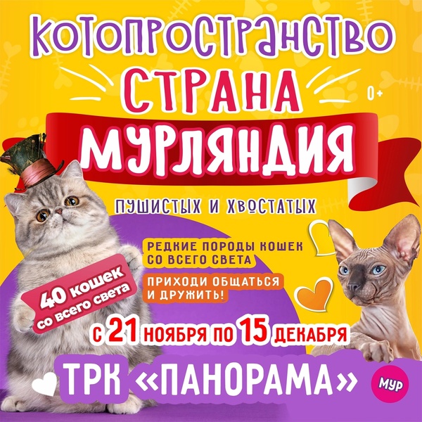 выставка кошек Страна Мурляндия