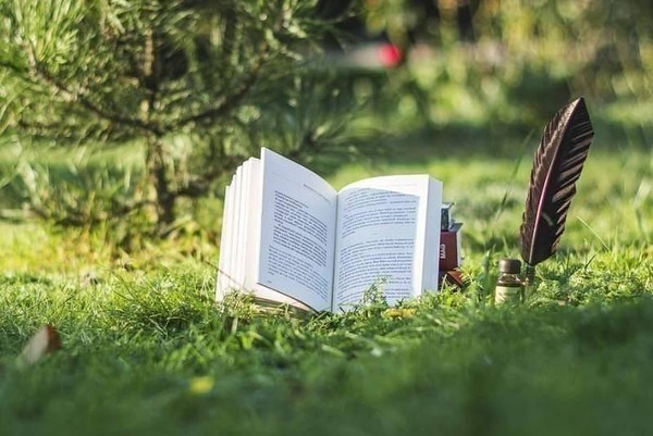 Квест «Приключения с Томом Сойером»