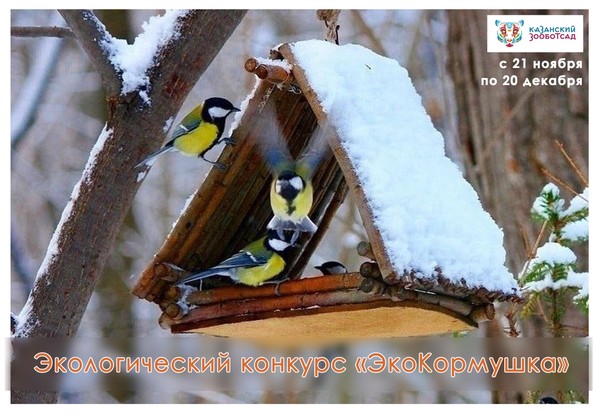 Экологический конкурс «ЭкоКормушка: птицы в городе»