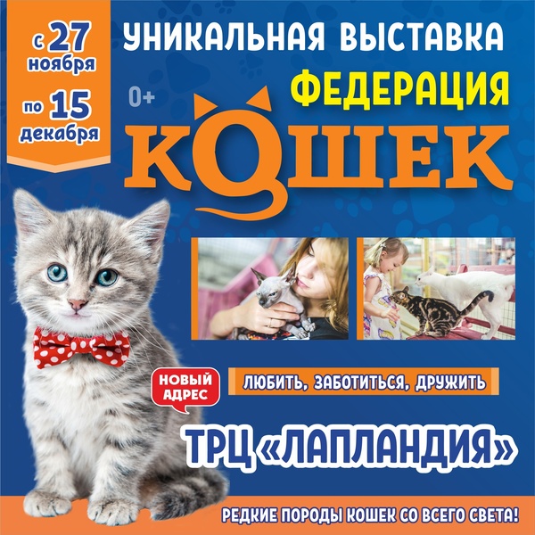 выставка кошек Федерация Кошек