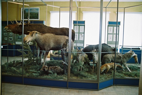 Музейный урок «Природы волшебство»