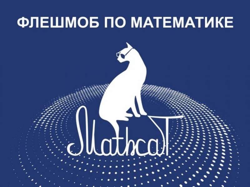 Математический флешмоб MathCat