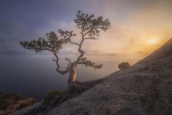 Персональная фотовыставка Романа Любимского «Симфония пейзажа»