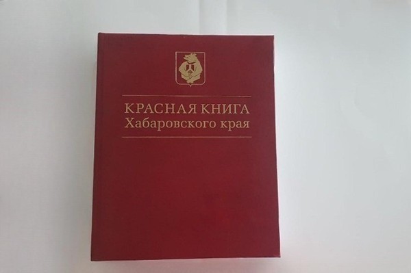 Встреча «По страницам Красной книги Хабаровского края»