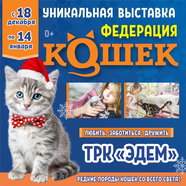 выставка кошек Федерация Кошек