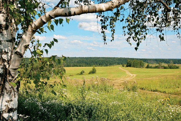 Межрегиональная литературная встреча