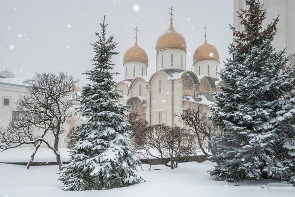 Программа «Праздники при дворе русских царей в XVII веке »