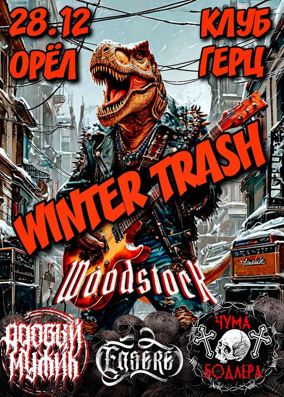 Зимний фестиваль WINTER TRASH 24 г.Орёл 28 декабря 2024 г.