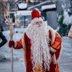 Семейное шоу каскадеров Мастера Панина «Новогодняя сказка»