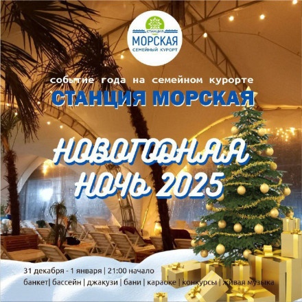 Новогодняя ночь 2025