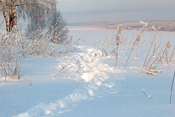 Час русской культуры «Прокопьев день»