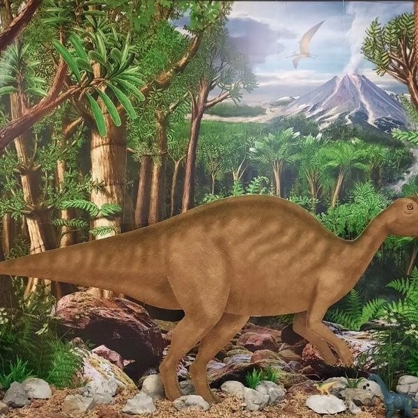 Программа «История синегорского динозавра»