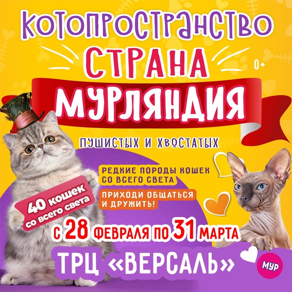 выставка кошек Страна Мурляндия