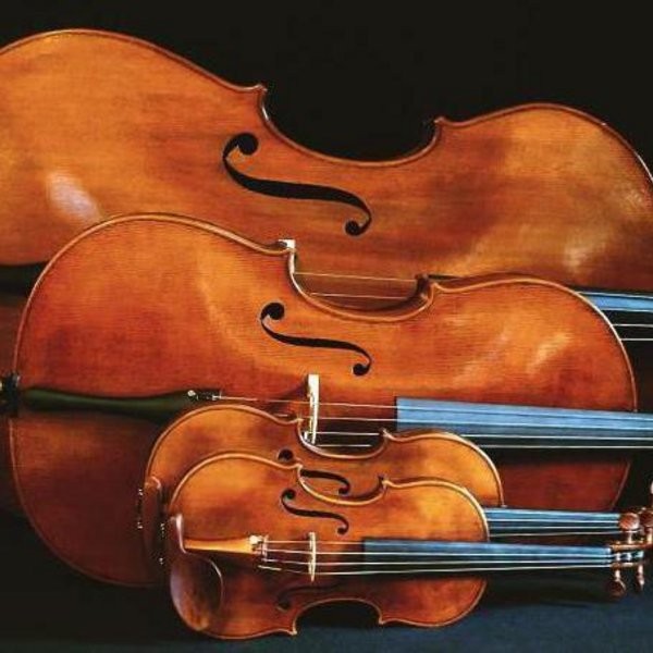 Мастер-класс «Начальные этапы самостоятельного изучения скрипки»