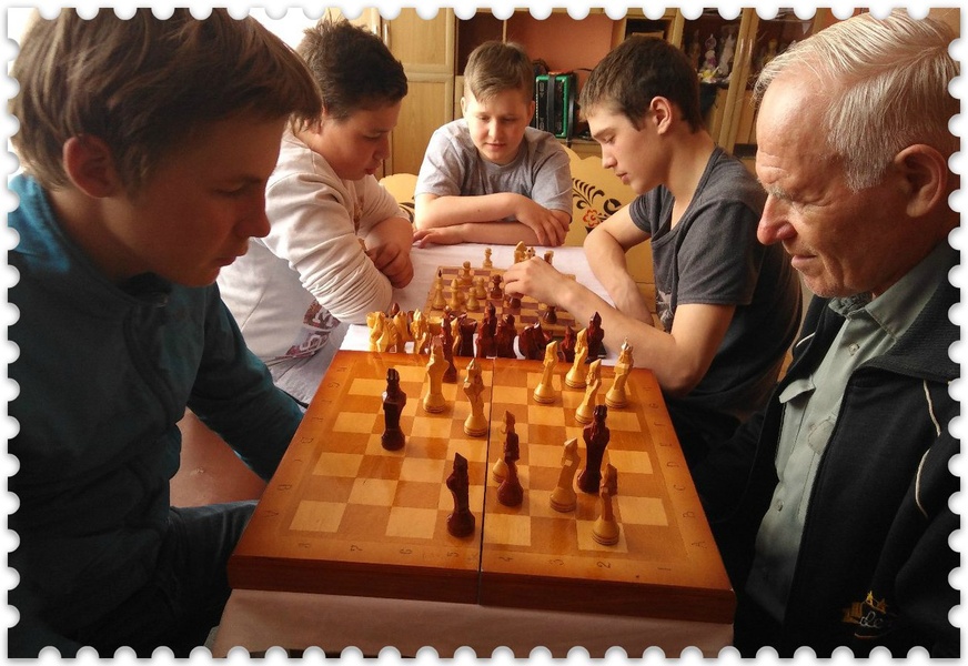 шахматы для возрослых