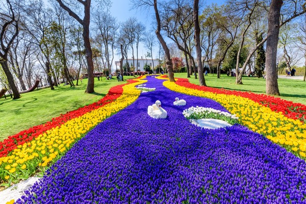 Фестиваль тюльпанов в Стамбуле — в парк Эмирган вместе с гидом