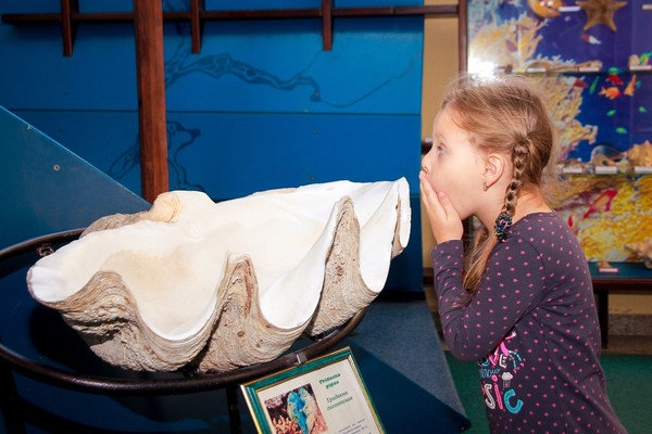 Экскурсия «Здравствуй, музей!»