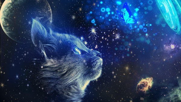 Полнокупольная программа «Кошки Китц СуперЛунное приключение & Дедушка и Зои: Миссия Свет»