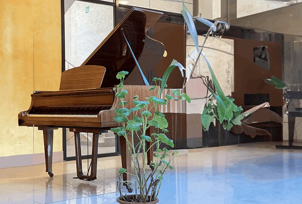 Мастер-класс «Клод Дебюсси. «Арабески» – палитра красок в мире фортепиано!»
