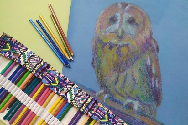 Мастер-класс «Зарисовка чучела птицы цветными карандашами»